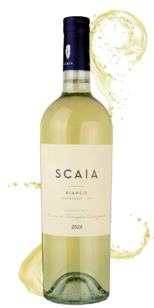 Scaia Trevenezie Bianco - Vintage Imports Wines